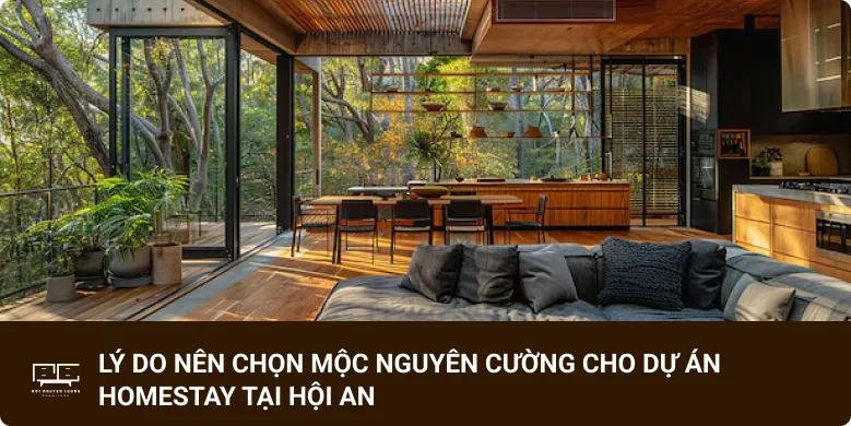Lý do nên chọn Mộc Nguyên Cường cho dự án homestay tại Hội An